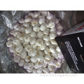 Best Quality Pure Garlic